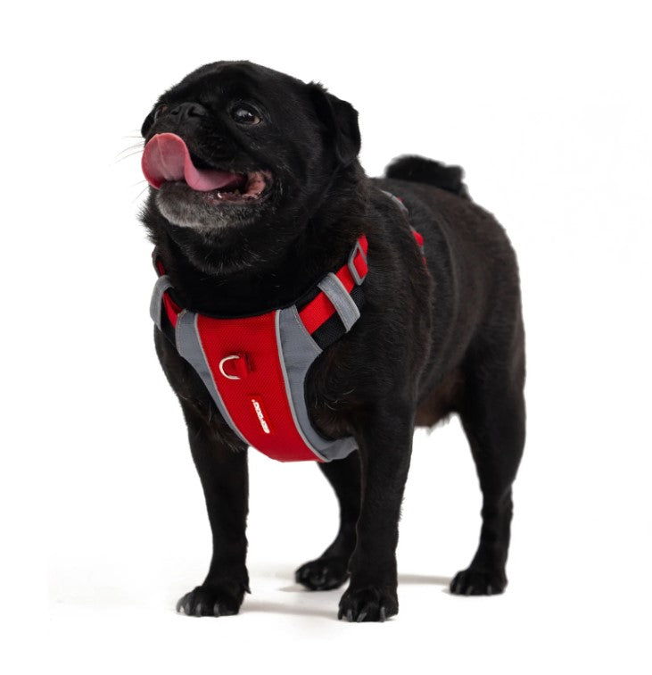 EZYDOG X-Link Harness RED