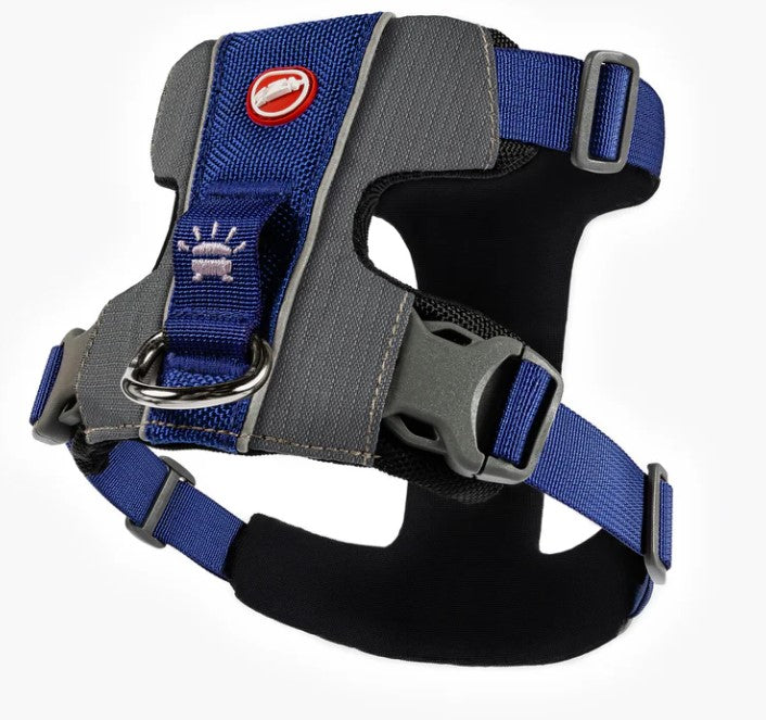 EZYDOG X-Link Harness BLUE