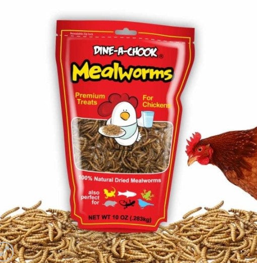 DINE A CHOOK DRIED MEALWORMS