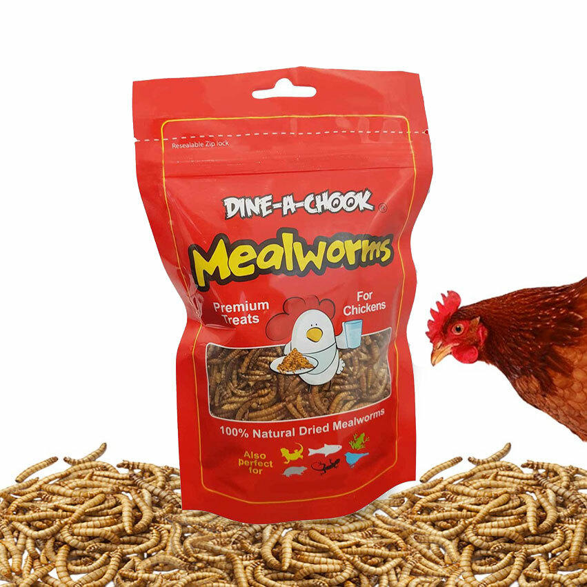 DINE A CHOOK DRIED MEALWORMS