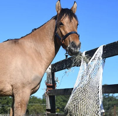 BAINBRIDGE HAY NET SLOW FEED - MEDIUM 120X90cm- WHITE