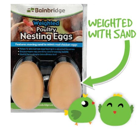 WEIGHTED POULTRY NESTING EGGS-2 PACK