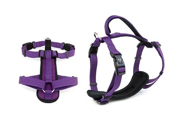 Premium Sport Dog Harness with Safety Handle - L- PURPLE