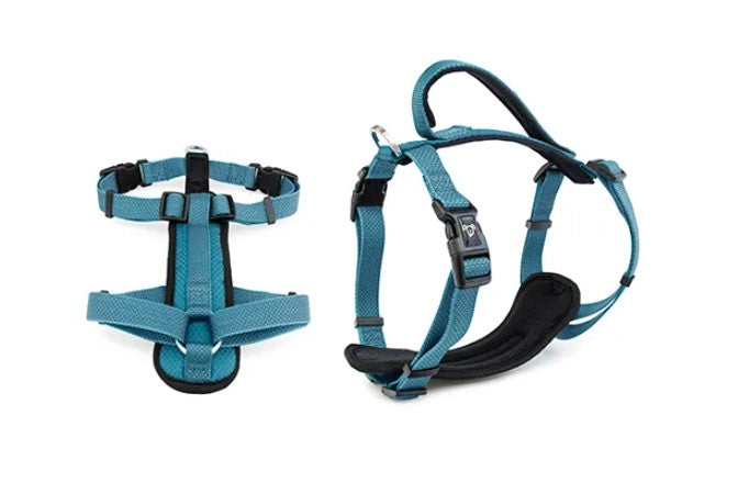 Premium Sport Dog Harness with Safety Handle - L - Blue