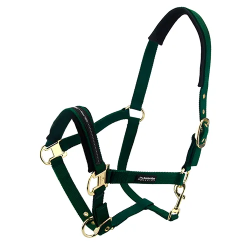 BAINBRIDGE HORSE HALTERS PONY