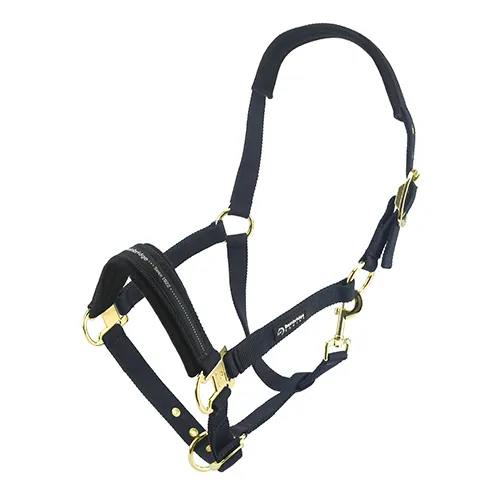 BAINBRIDGE HORSE HALTERS - COB - BLACK