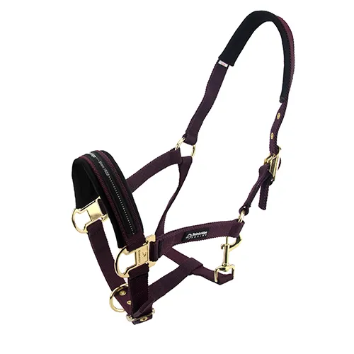 BAINBRIDGE HORSE HALTERS - COB - BLACK