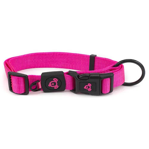 BAINBRIDGE NYLON DOG COLLAR – PREMIUM