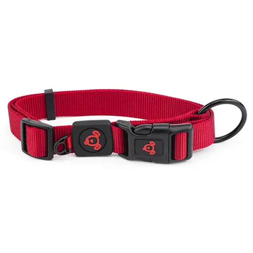 BAINBRIDGE NYLON DOG COLLAR – PREMIUM