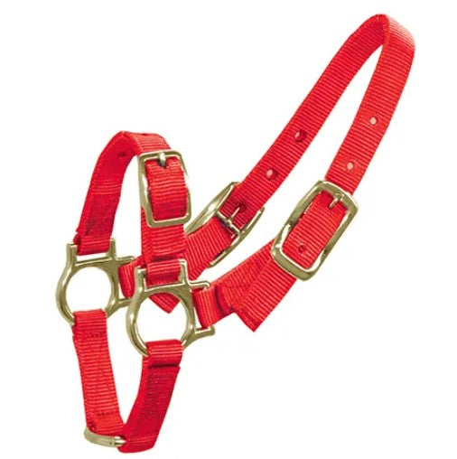 BAINBRIDGE Halter for Sheep & Goats - Red