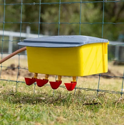 BAINBRIDGE AUTOMATIC POULTRY WATERER