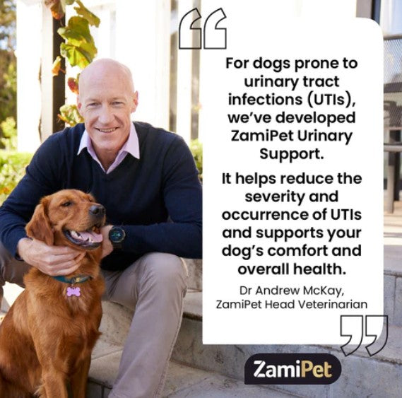 ZAMIPET URINARY SUPPORT FOR DOGS 300G 60