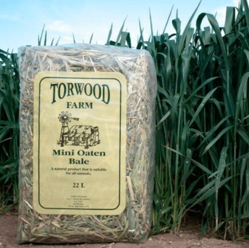 TORWOOD FARMS MINI OATEN BALE 22L