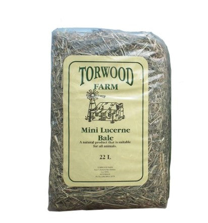 TORWOOD FARMS MINI LUCERNE BALE 22L